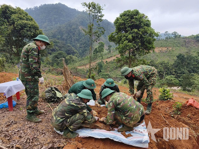 Mệnh lệnh từ trái tim

